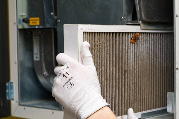 Best HVAC Duct Inspection Services  in Zephyrhills North, FL