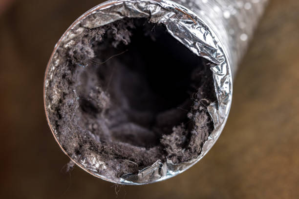Best Ventilation Cleaning Services  in Zephyrhills North, FL