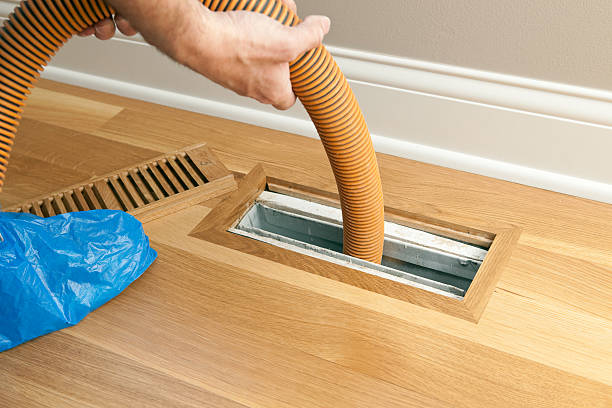 Best Local Air Duct Cleaning Services  in Zephyrhills North, FL