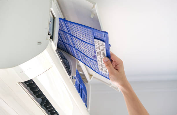 Best Emergency Air Duct Cleaning  in Zephyrhills North, FL