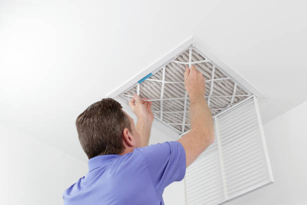 Best Ductwork Cleaning Services  in Zephyrhills North, FL